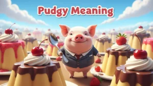 pudgy meaning
