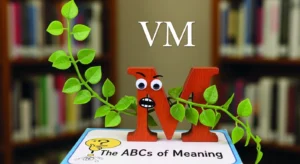vm meaning